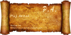 Puj Antal névjegykártya